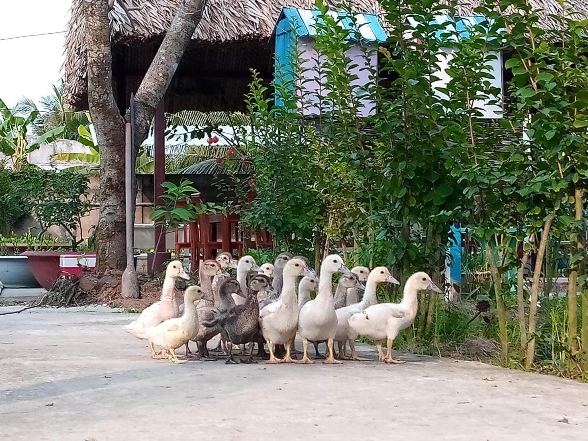 Thach Thao Homestay My Tho Εξωτερικό φωτογραφία