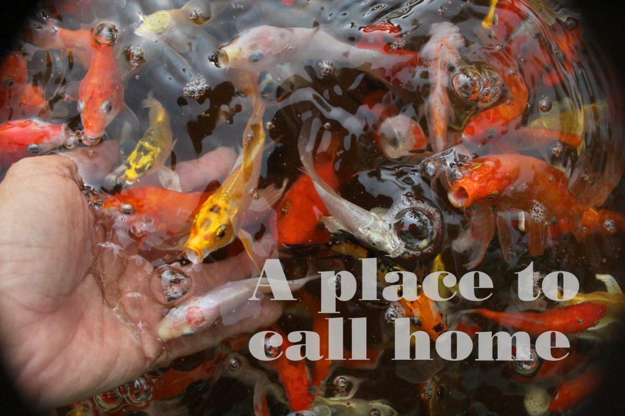 Thach Thao Homestay My Tho Εξωτερικό φωτογραφία